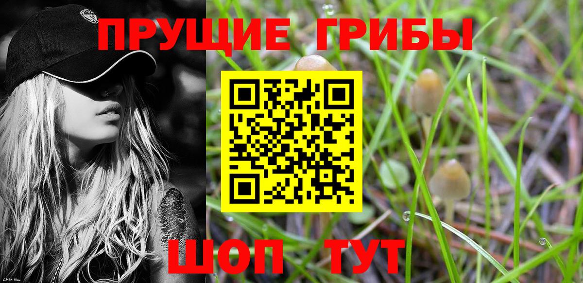 Галлюциногенные грибы ЛСД  Вход с VPN  Заинск  Галлюциногенные грибы Magic Shrooms 