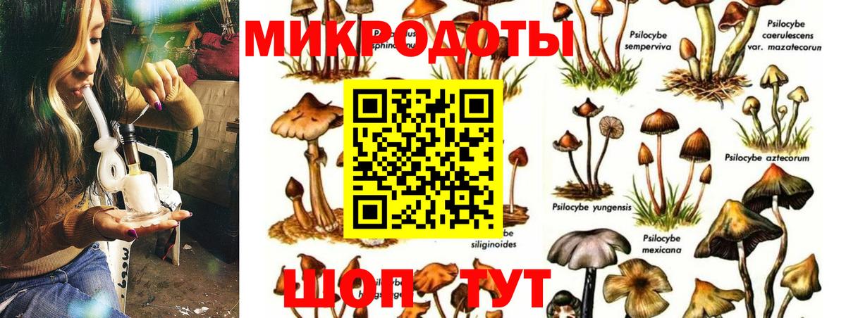 Псилоцибиновые грибы GOLDEN TEACHER Заинск